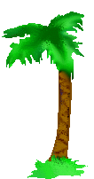 beachpalm01.gif